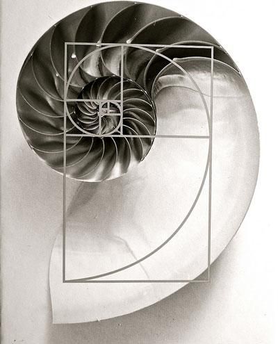 The Power of Holistic Approaches in Aesthetic Renewal